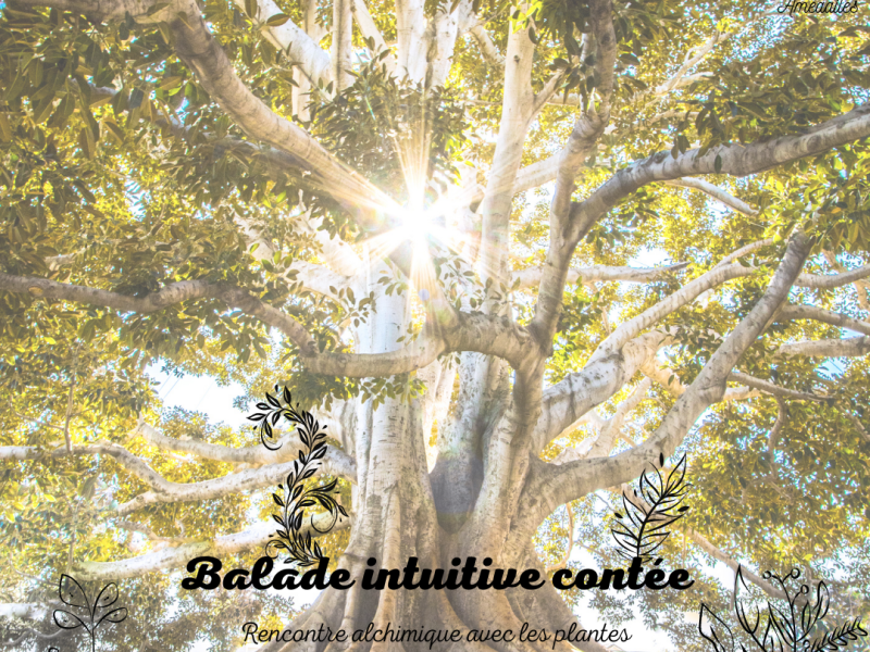 Choyer • Se&nbsp;relier