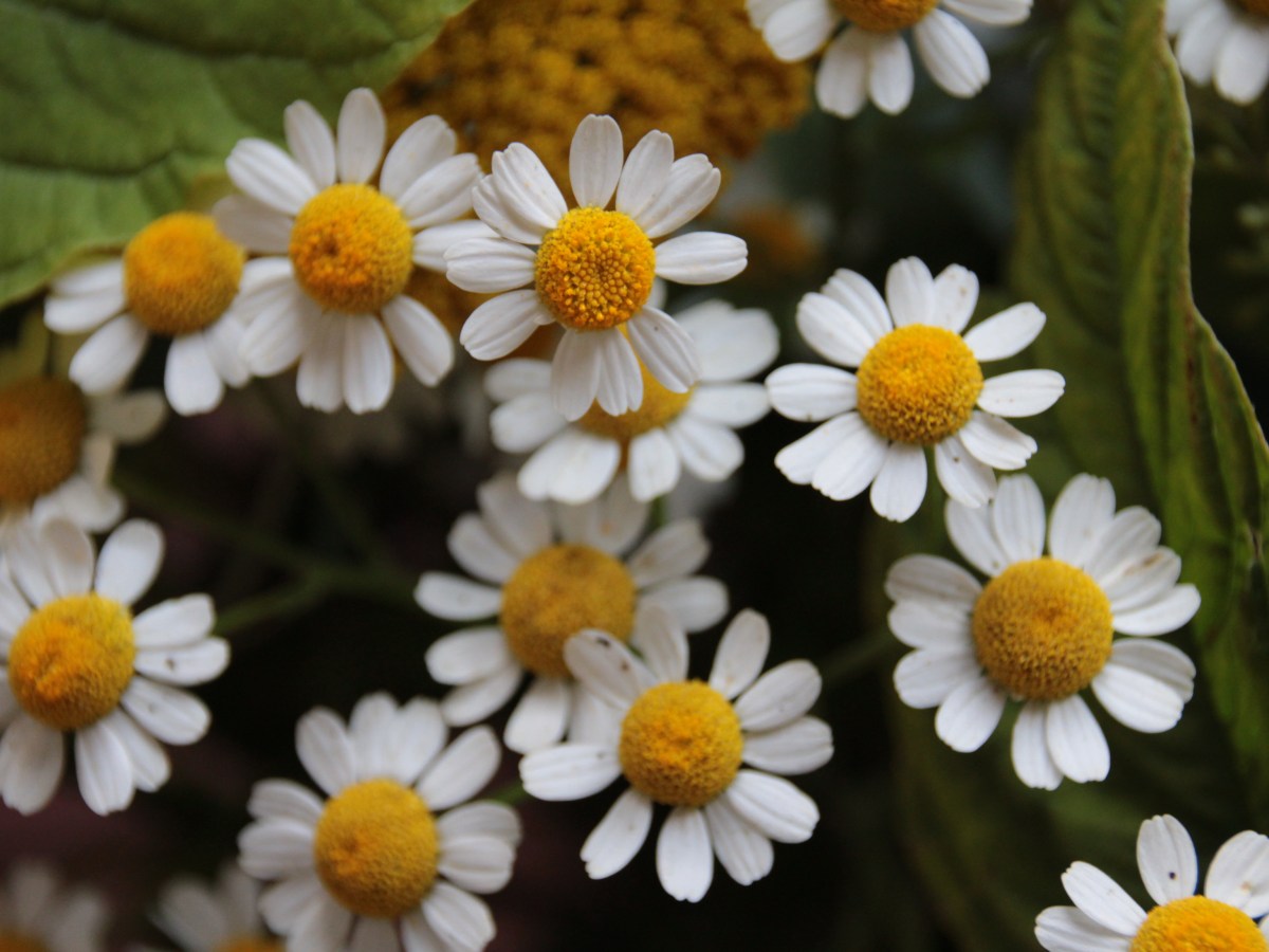 Un bébé nous est&nbsp;donné…